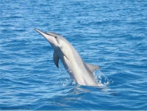 Beautiful Australia | Go Discover Abroad